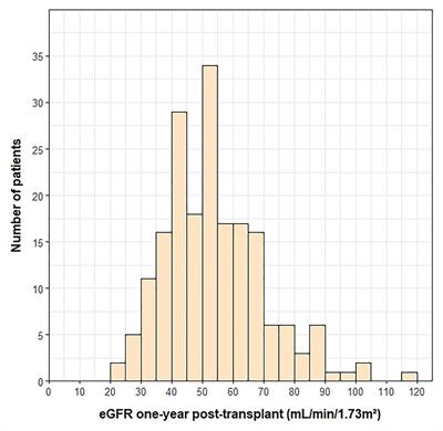 Association Between Variants in Calcineurin Inhibitor Pharmacokinetic and Pharmacodynamic Genes and Renal Dysfunction in Adult Heart Transplant Recipients